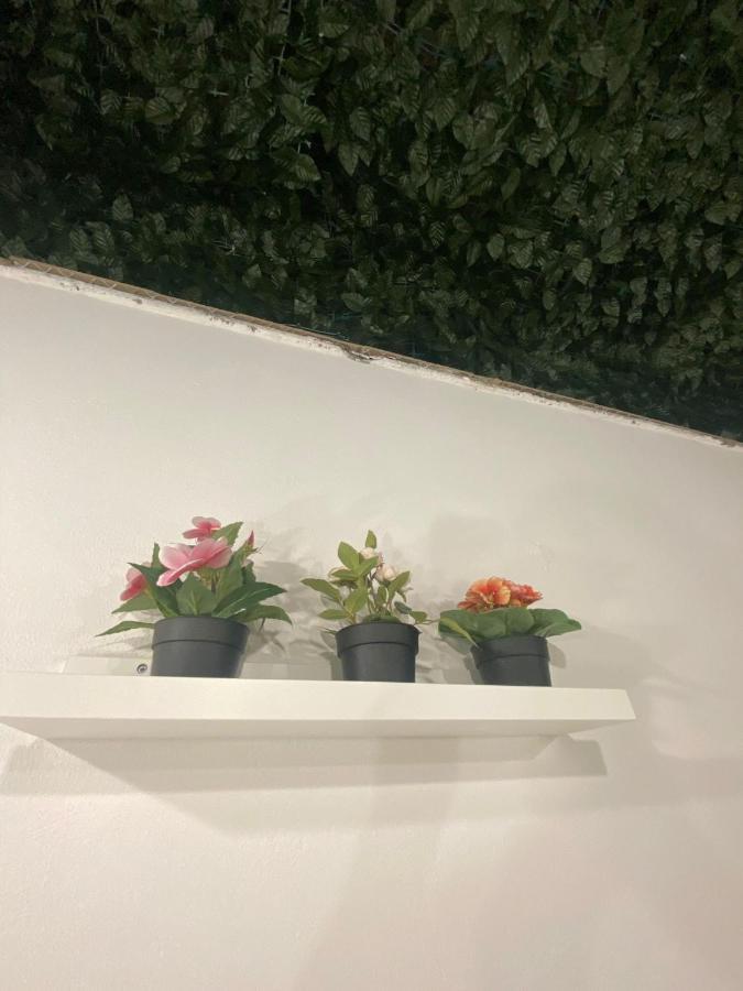 Alfa Casa Vacanze Catania Apartment Екстериор снимка